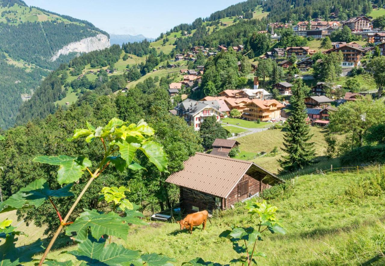 Panoramapark Soleil Chalet E Apartment Wengen Exterior photo