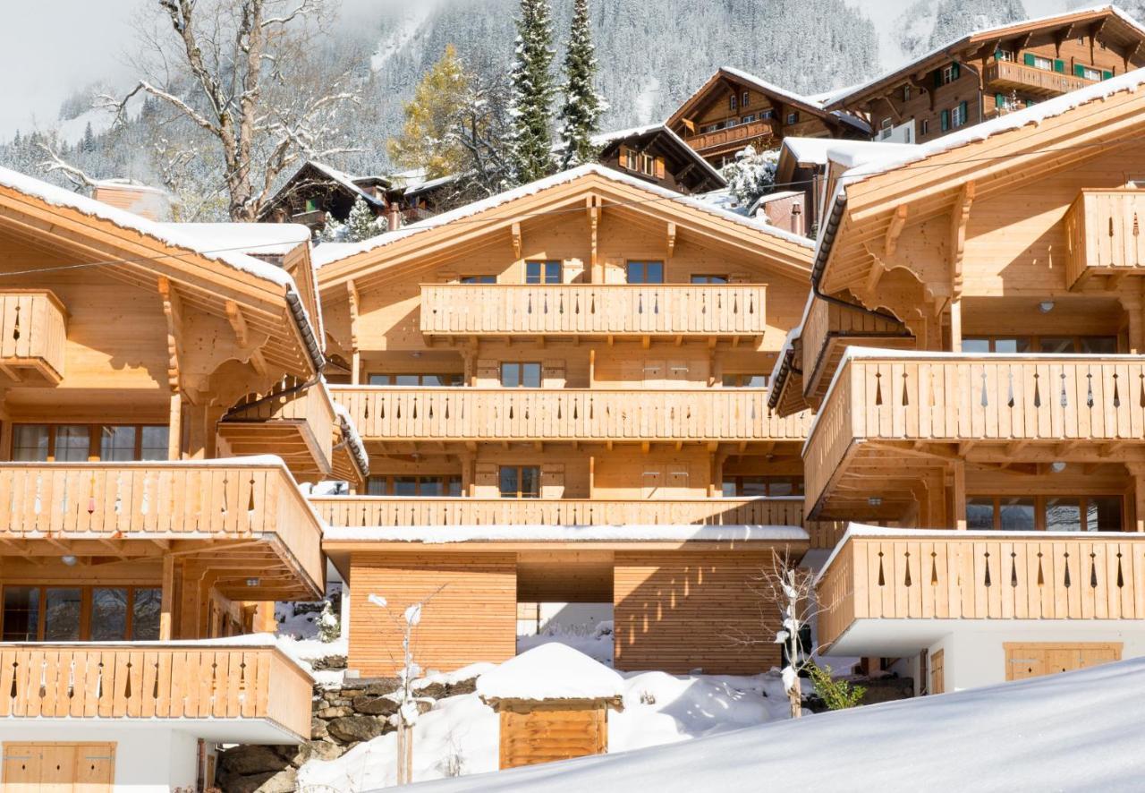 Panoramapark Soleil Chalet E Apartment Wengen Exterior photo